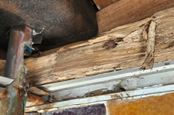 リフォーム後の屋根