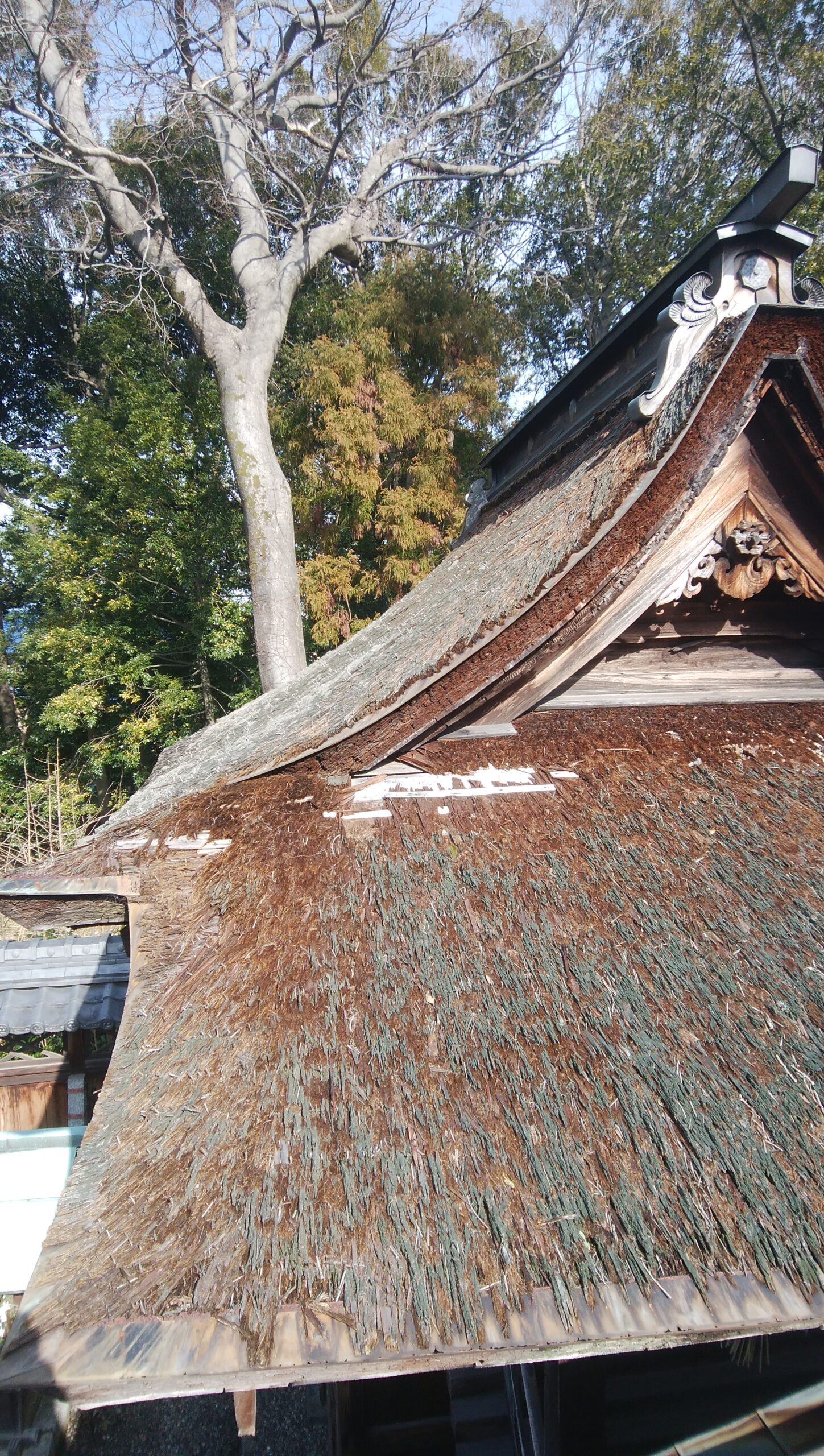 神社の屋根改修工事